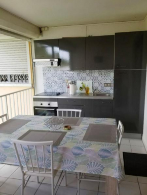 Appartement d'une chambre a Le Gosier a 900 m de la plage avec jardin clos et wifi